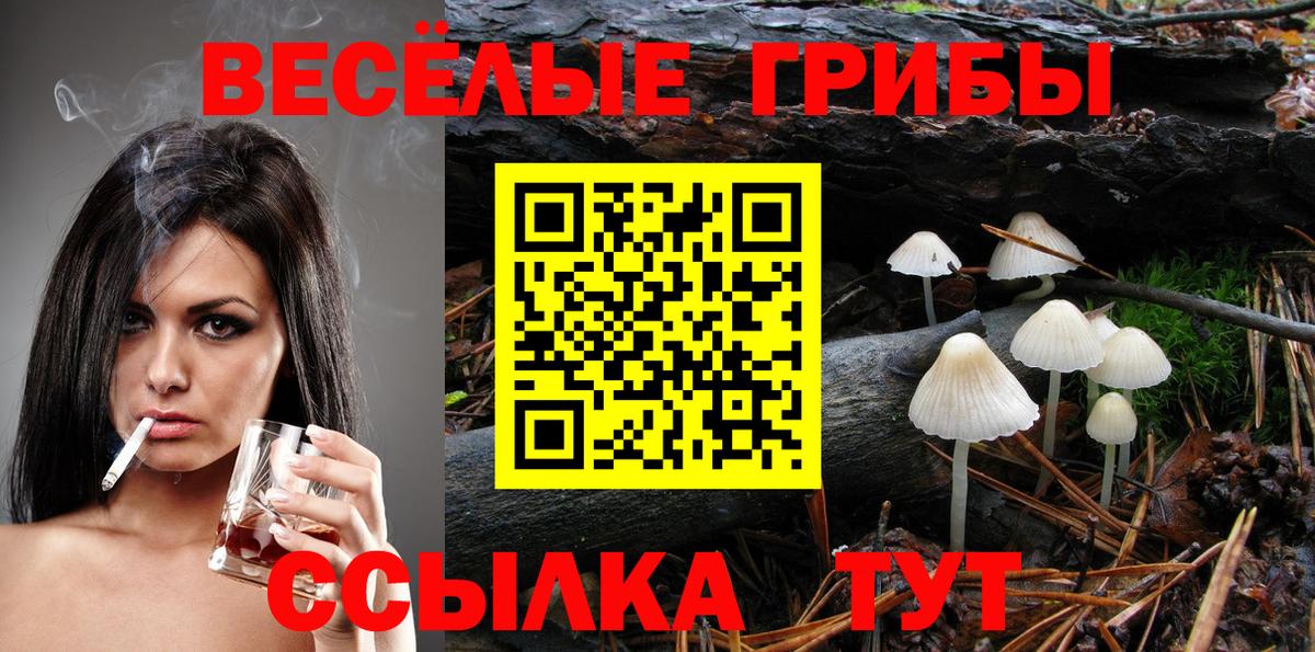 Советский  Псилоцибиновые грибы Cubensis  купить  цена  Галлюциногенные грибы GOLDEN TEACHER  Вход с VPN 
