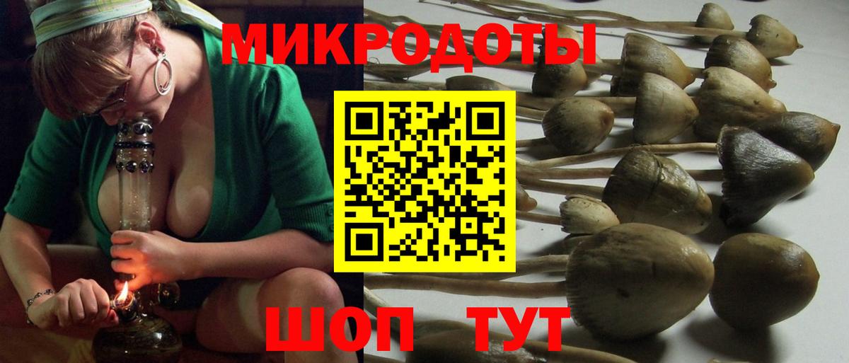 Галлюциногенные грибы MAGIC MUSHROOMS Советский